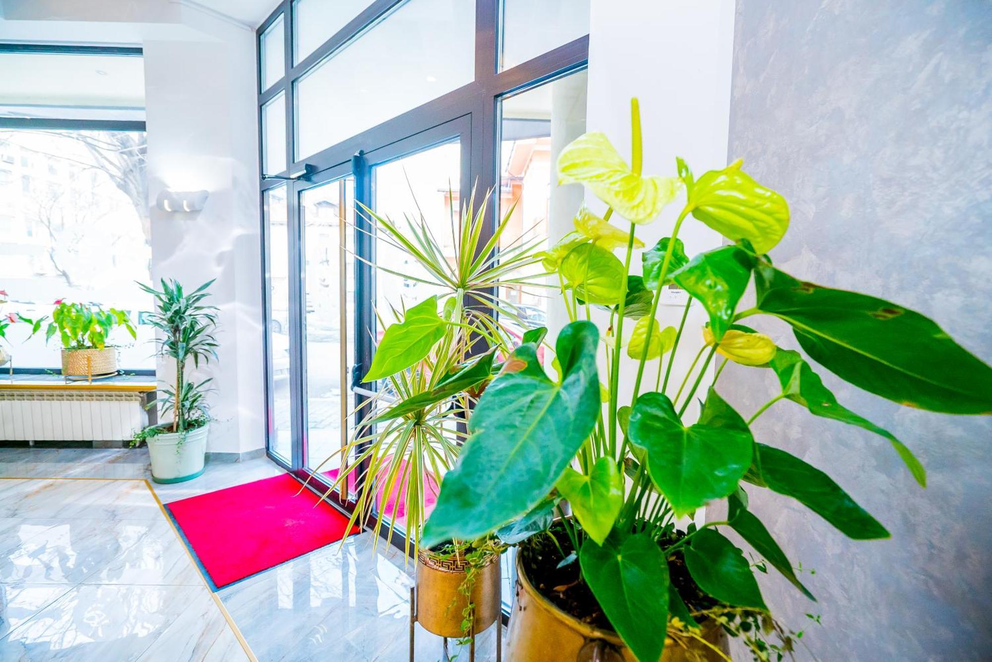 Guci Hotel Constanta Bagian luar foto